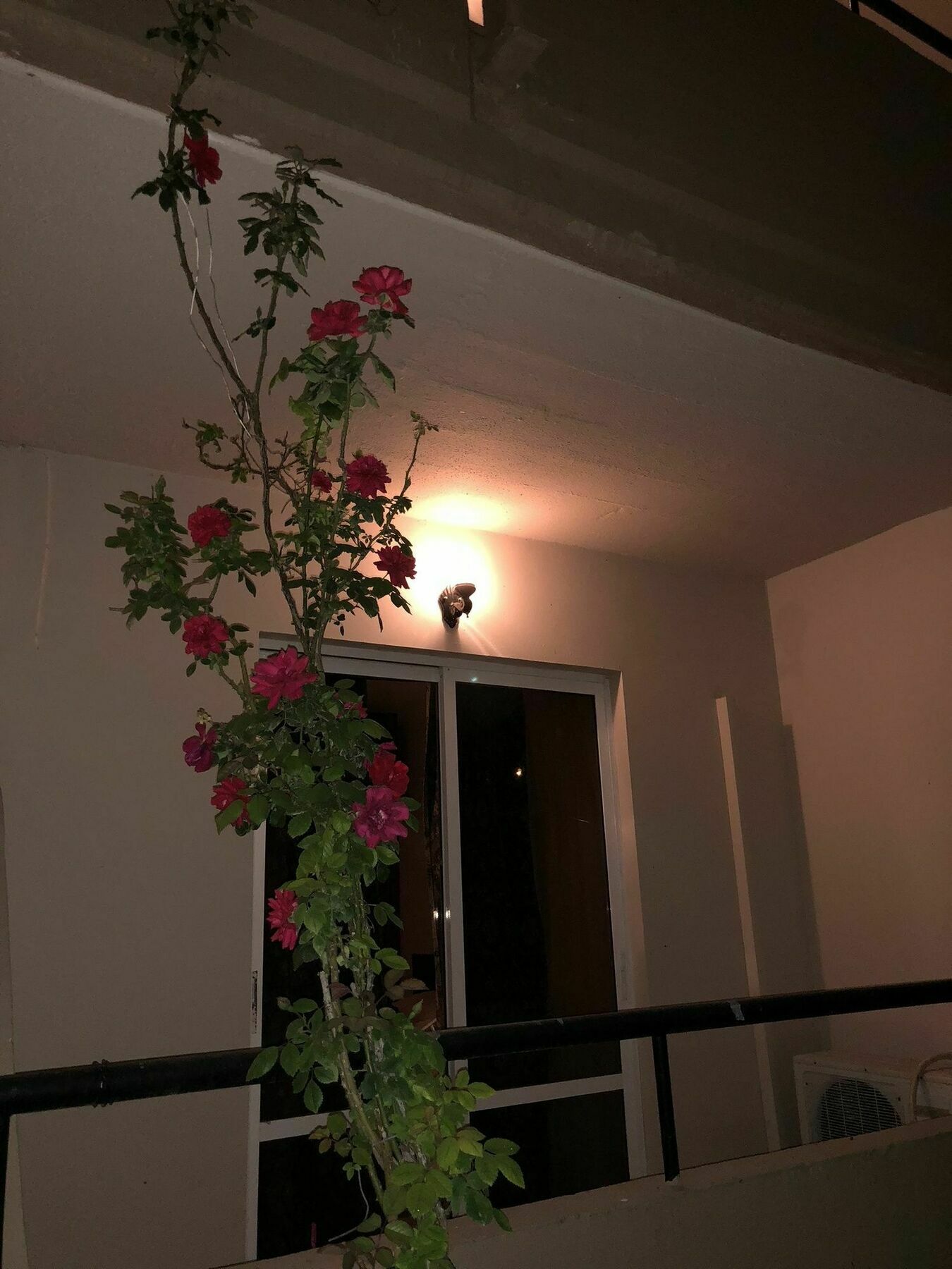 Jimmy'S Garden Otel Faliraki Dış mekan fotoğraf
